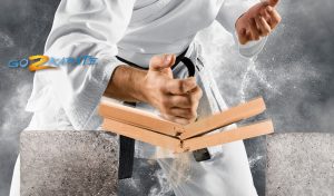 Go2Karate e360