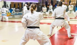 Go2Karate e360