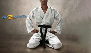 Go2Karate e360