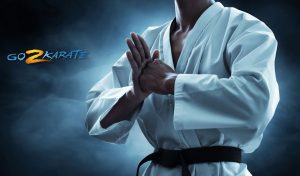 Go2Karate e360