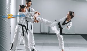 Go2Karate e360