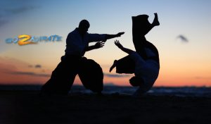 Go2Karate e360